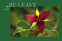 BE-LEAVE
